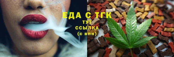 МДПВ Пересвет