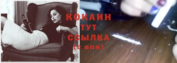 ГАЛЛЮЦИНОГЕННЫЕ ГРИБЫ Переславль-Залесский