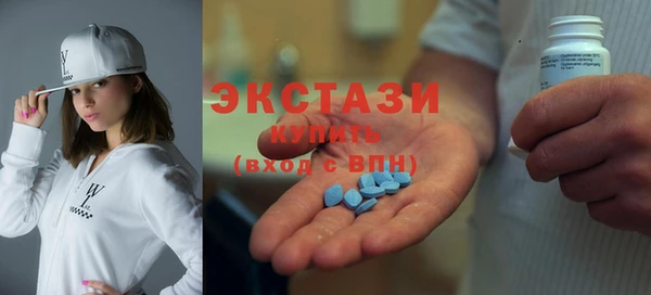 МДПВ Пересвет