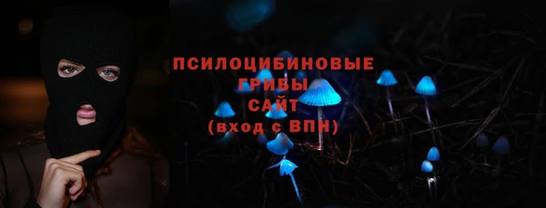 ГАЛЛЮЦИНОГЕННЫЕ ГРИБЫ Переславль-Залесский