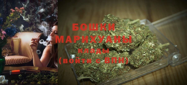 МДПВ Пересвет