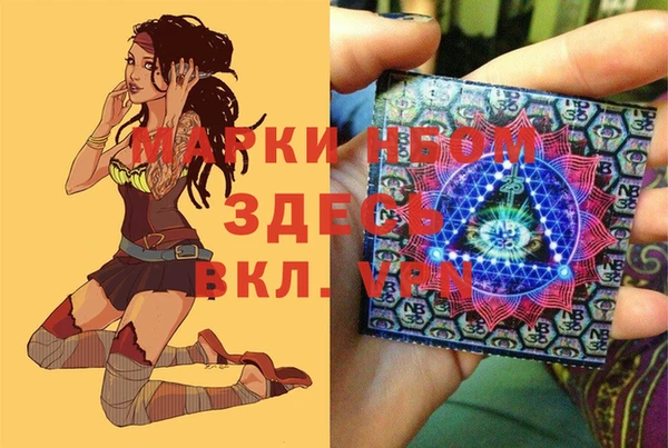МДПВ Пересвет