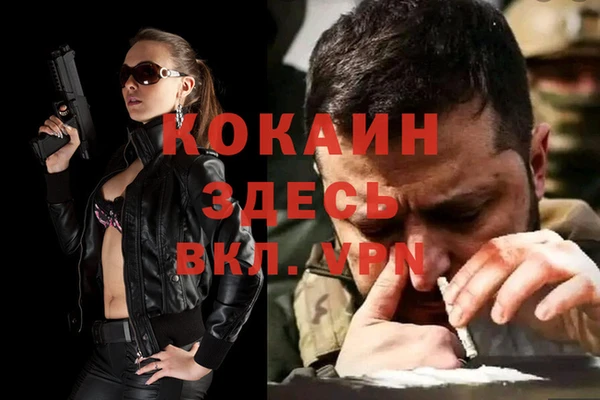 МДПВ Пересвет