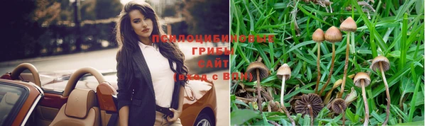 МДПВ Пересвет