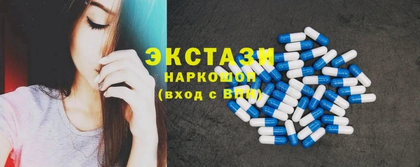 МДПВ Пересвет