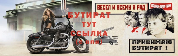 МДПВ Пересвет