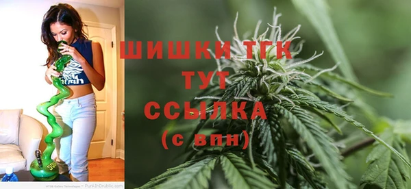 ГАЛЛЮЦИНОГЕННЫЕ ГРИБЫ Переславль-Залесский