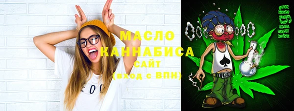 МДПВ Пересвет