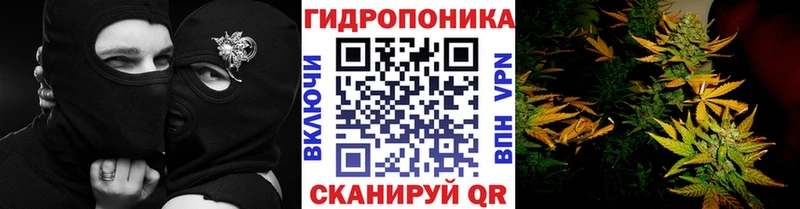 МАРИХУАНА Ganja Анива